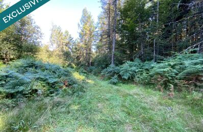 vente terrain 72 000 € à proximité de Granges-Aumontzey (88640)