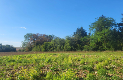 maison 108 m2 à construire à Houdan (78550)