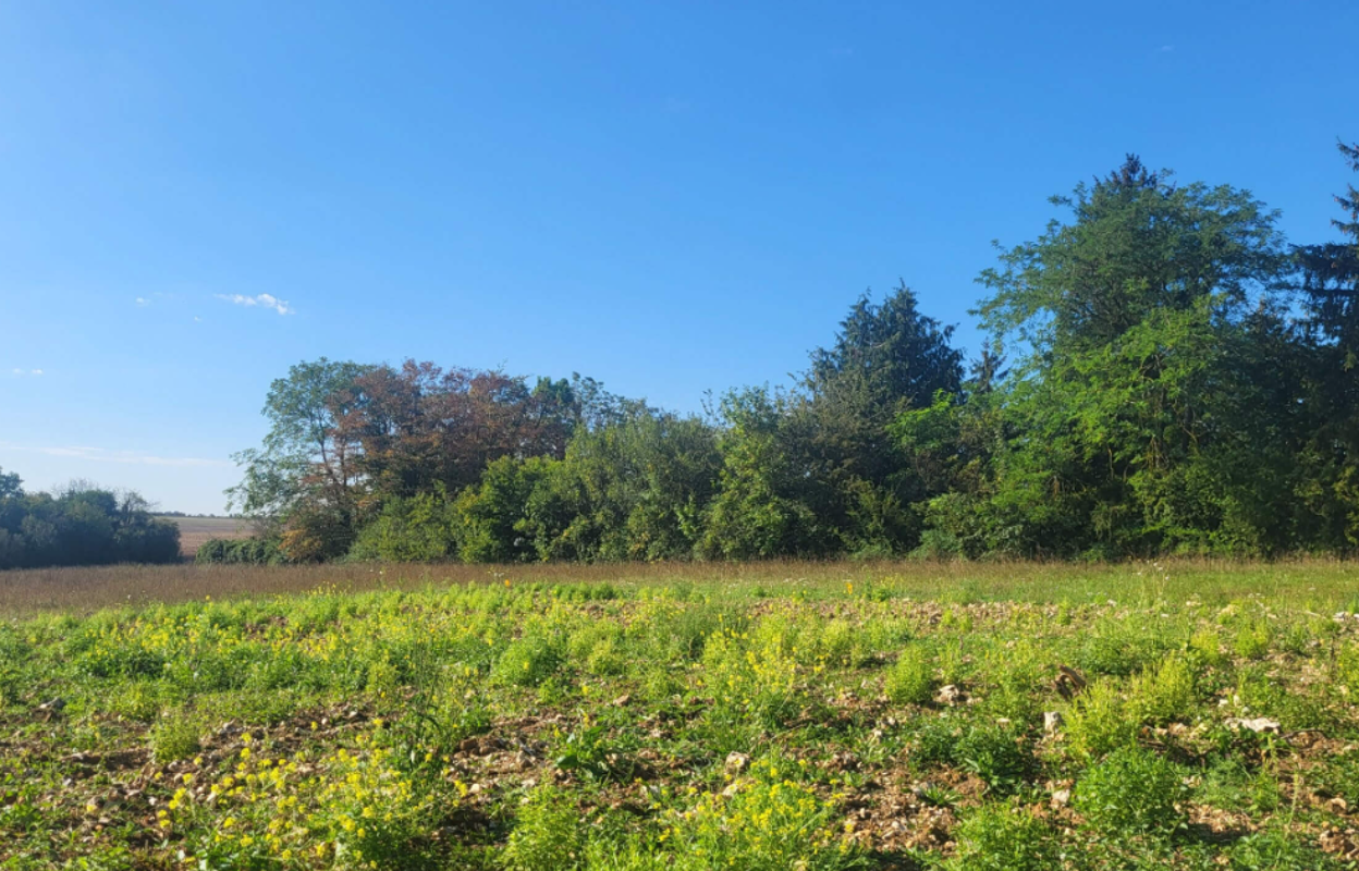 maison 108 m2 à construire à Houdan (78550)