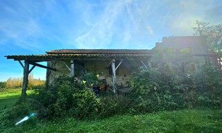 Photo N° 15