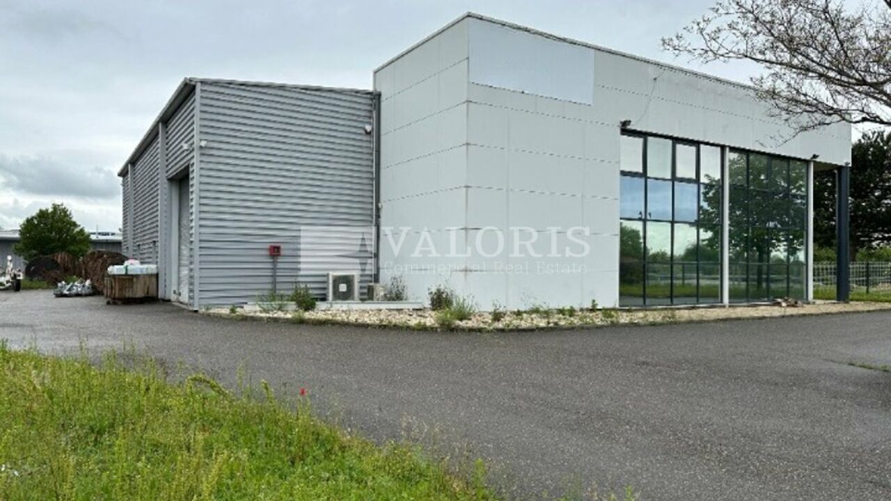 commerce  pièces 670 m2 à louer à Décines-Charpieu (69150)