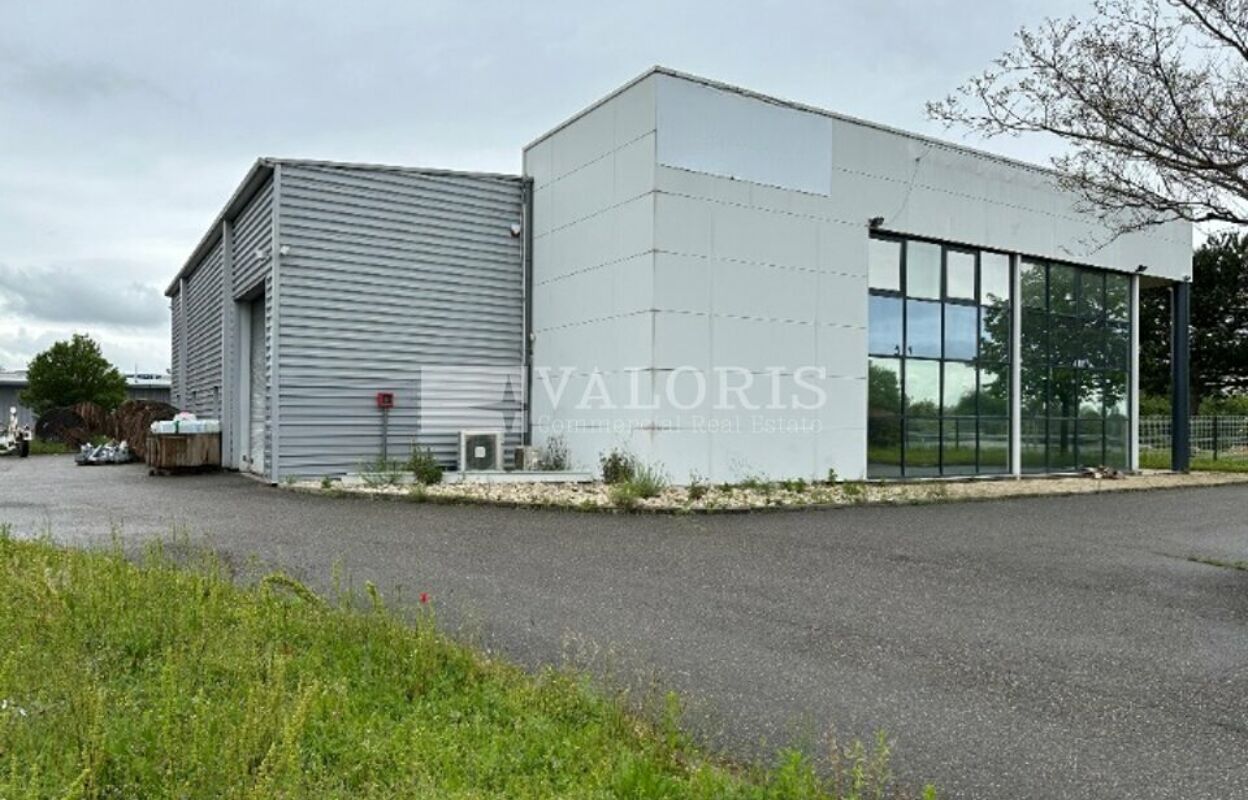 commerce  pièces 670 m2 à louer à Décines-Charpieu (69150)