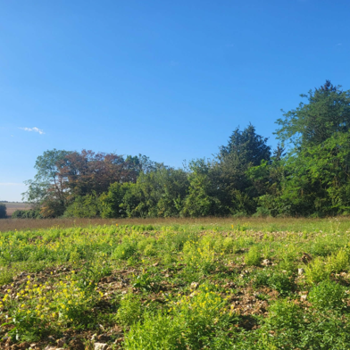 Terrain à construire 554 m²