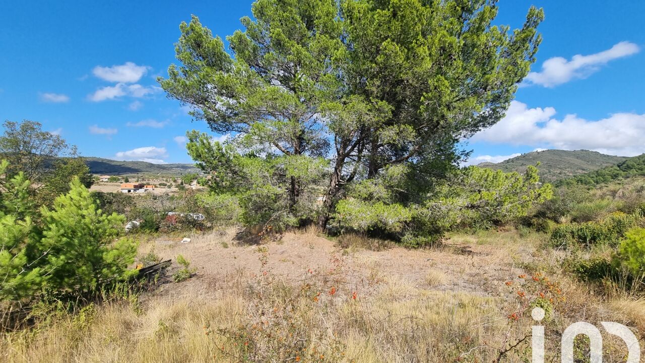 terrain  pièces 1318 m2 à vendre à Villeneuve-les-Corbières (11360)