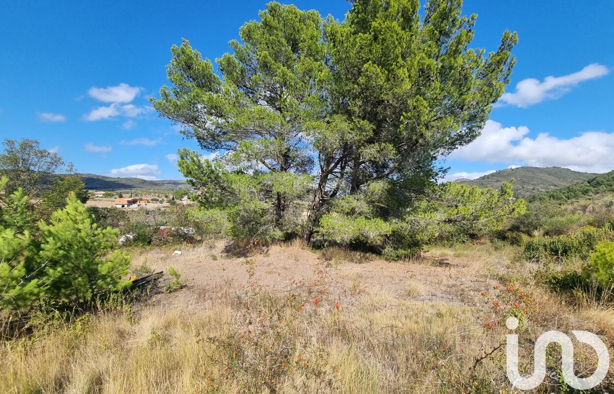 terrain  pièces 1318 m2 à vendre à Villeneuve-les-Corbières (11360)