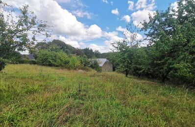 terrain  pièces 1657 m2 à vendre à Donzenac (19270)