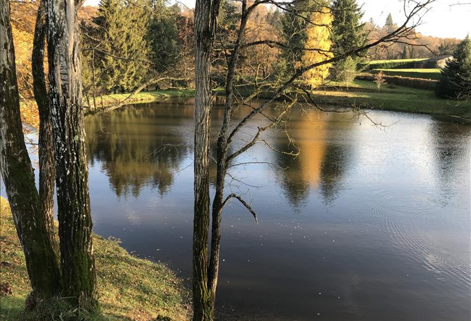 Terrain à bâtir de 0 pièces principales — photo 1