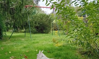 Photo N° 3