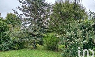 Photo N° 4