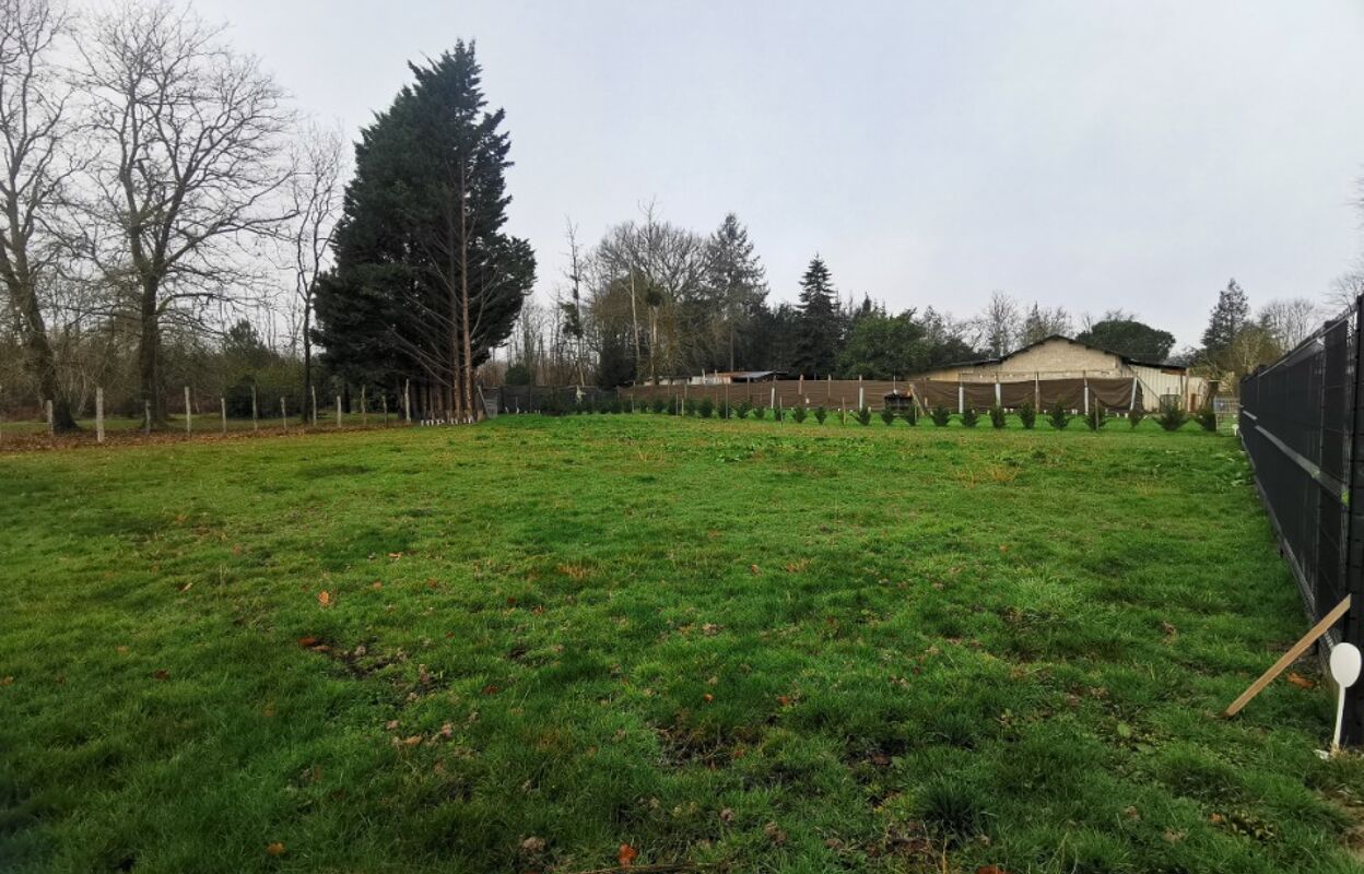 terrain  pièces 1900 m2 à vendre à Marimbault (33430)