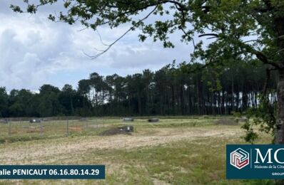 vente terrain 245 000 € à proximité de Capbreton (40130)