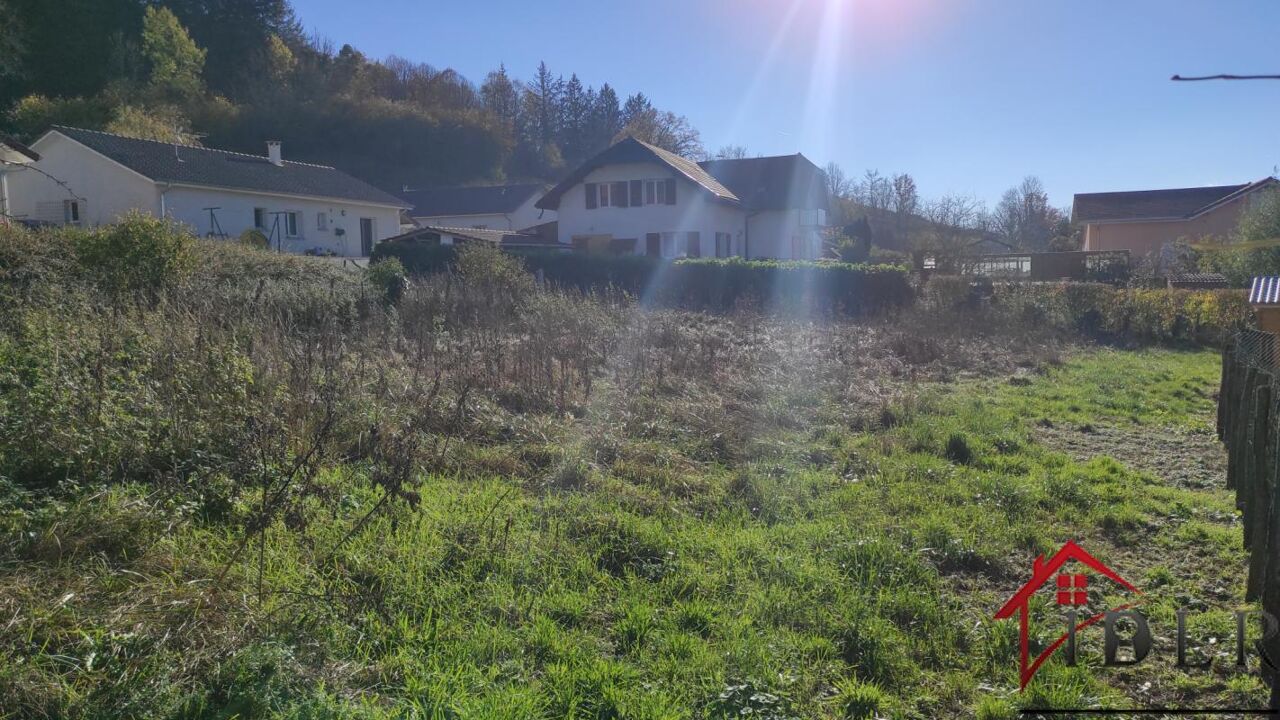 terrain  pièces 996 m2 à vendre à Béard-Géovreissiat (01460)