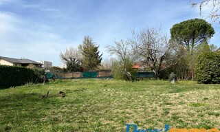 Photo N° 4