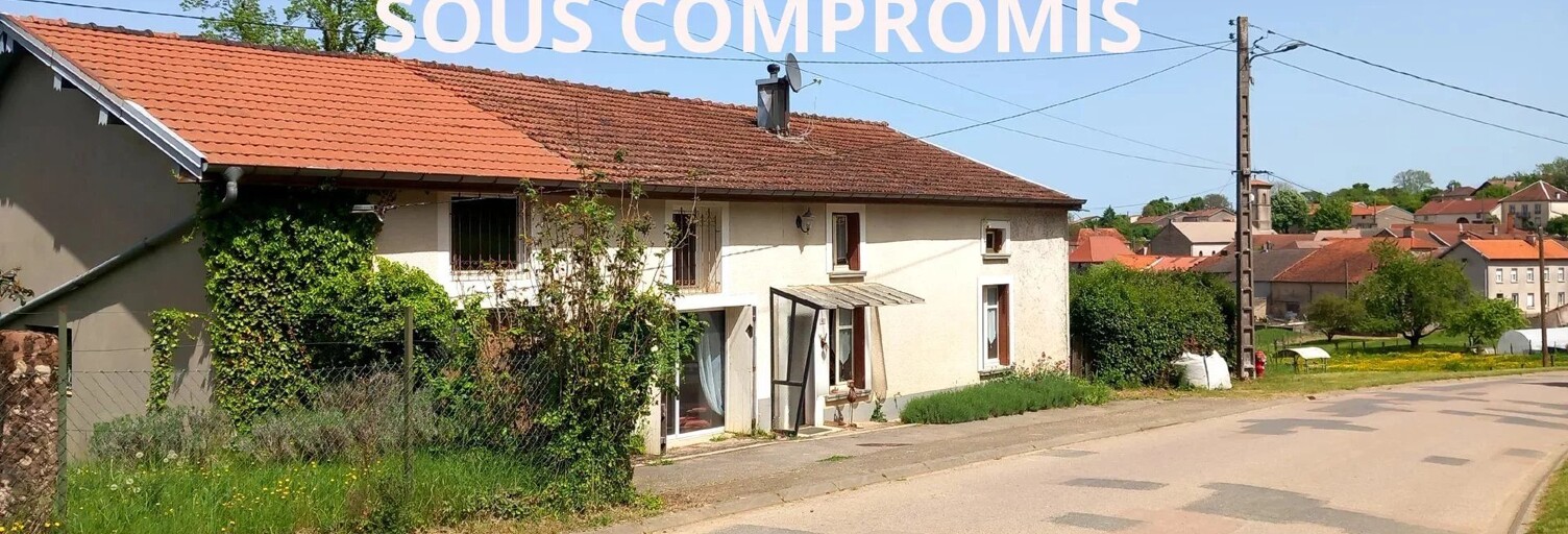Maison 7 Pièces 245 m² à vendre à Regnévelle (88410)