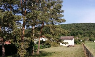 Photo N° 3