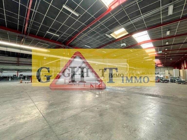 MORANGIS A LOUER ENTREPOT 5920M2 — photo 1