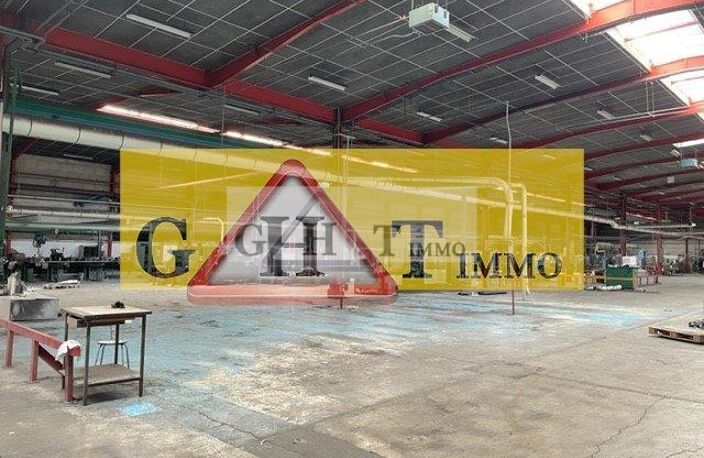 MORANGIS A LOUER ENTREPOT 11520M2 — photo 4