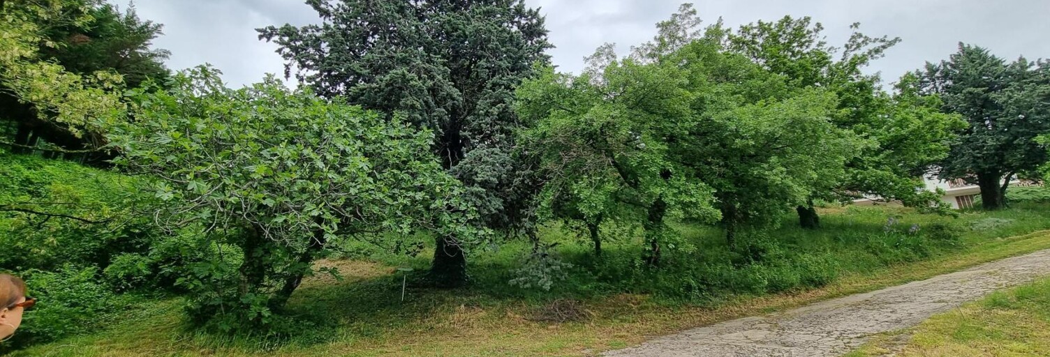 Terrain 660 m² à construire Saint-Georges-les-Bains (07800)