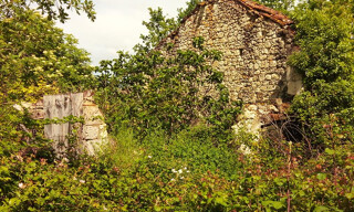 Photo N° 7