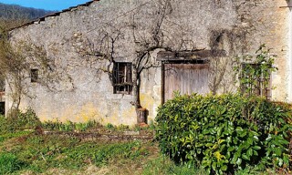 Photo N° 14