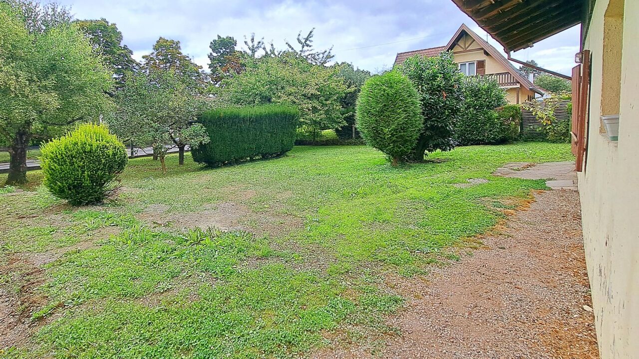 terrain  pièces 550 m2 à vendre à Mulhouse (68200)