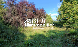 Terrain  5220 m² à vendre à Le Perray-en-Yvelines (78610)