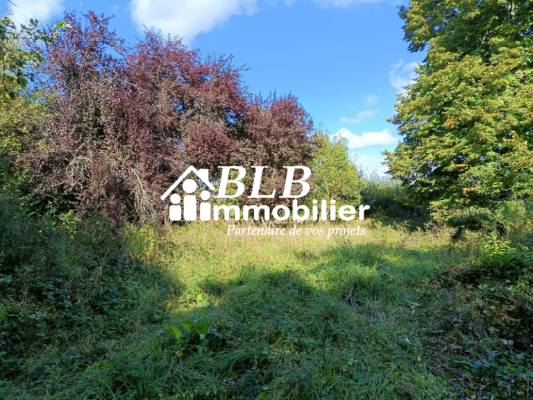 Terrain de 5220m2 arboré non viabilisé — photo 1