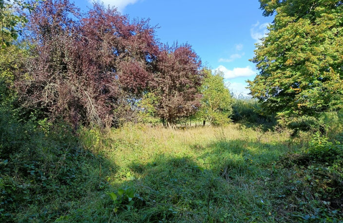 Terrain de 5220m2 arboré non viabilisé — photo 2