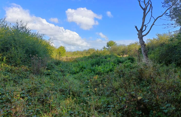 Terrain de 5220m2 arboré non viabilisé — photo 3