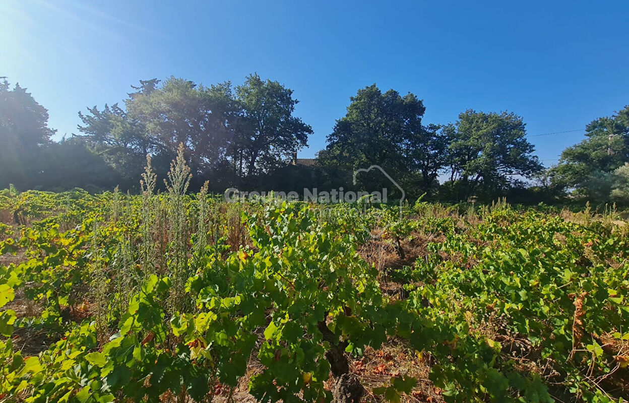 terrain  pièces 591 m2 à vendre à Sainte-Cécile-les-Vignes (84290)