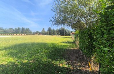 terrain  pièces 1020 m2 à vendre à Castres (81100)