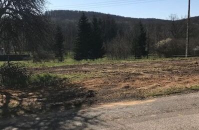 vente terrain 34 500 € à proximité de Fontaine-Lès-Luxeuil (70800)