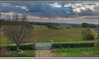 Photo N° 11
