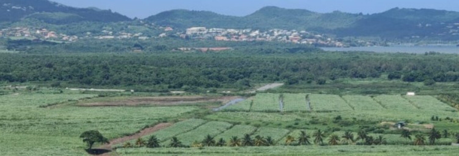 Maison 4 Pièces 82 m² à vendre à Rivière-Salée (97215)