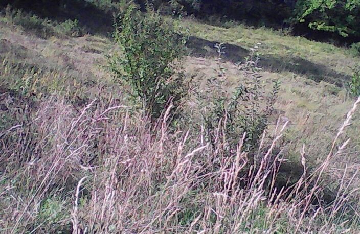 Terrain constructible — photo 4