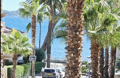 vente appartement 309 000 € à proximité de Saint-Tropez (83990)