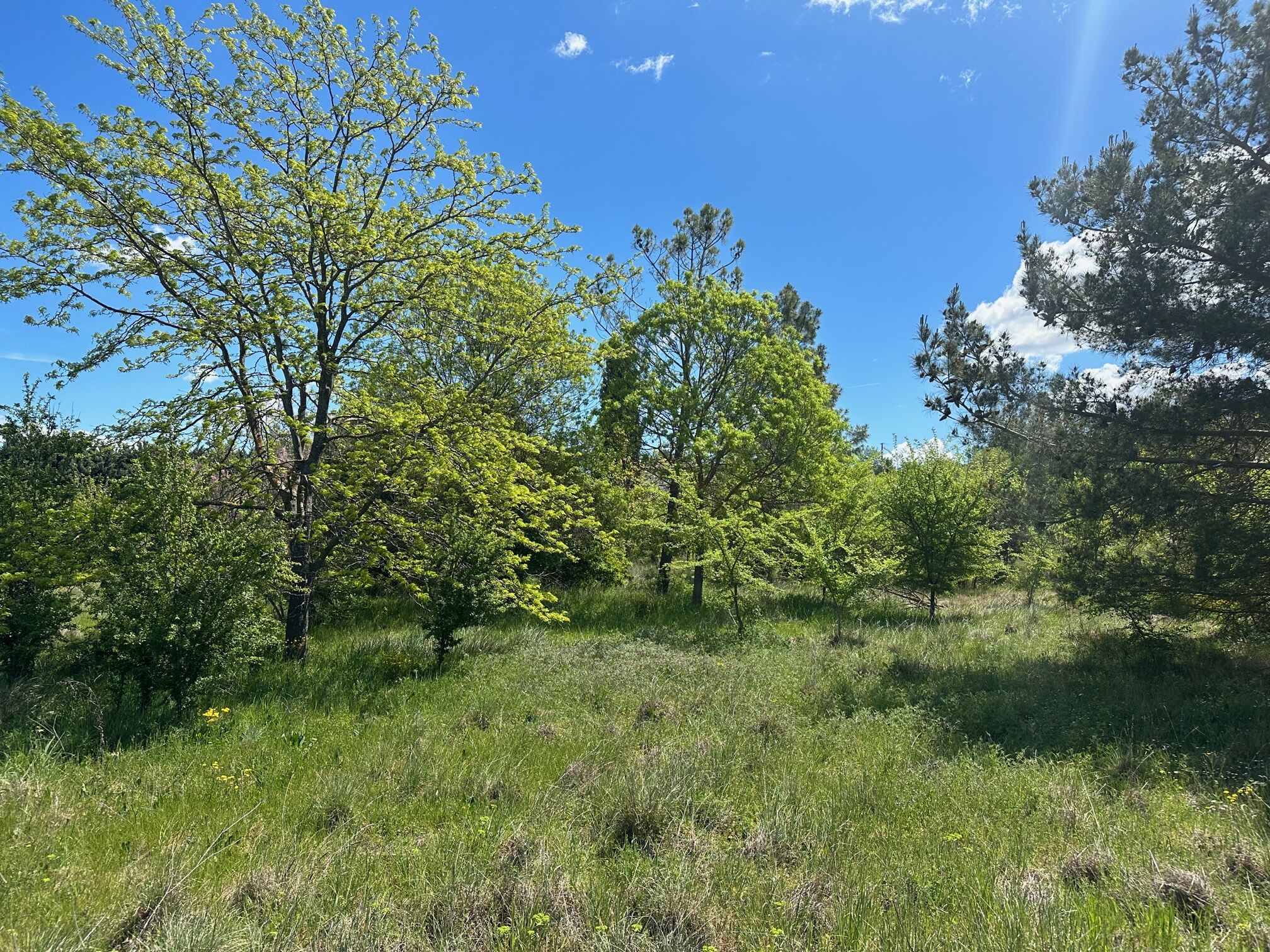 Aix-en-Provence Terrain à bâtir 310 m²