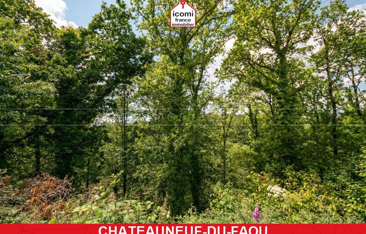 terrain  pièces 10667 m2 à vendre à Châteauneuf-du-Faou (29520)