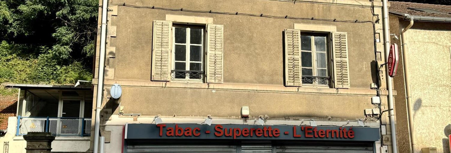 Immeuble  350 m² à vendre à Épinal (88000)