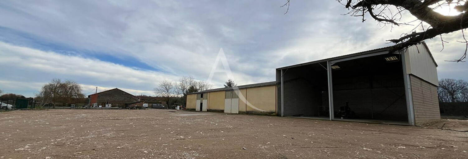 Local industriel 5 Pièces 450 m² à louer à Bessières (31660)