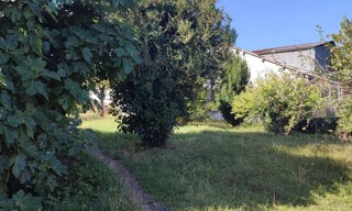 Photo N° 7