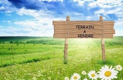 vente terrain 63 375 € à proximité de Lacourt-Saint-Pierre (82290)