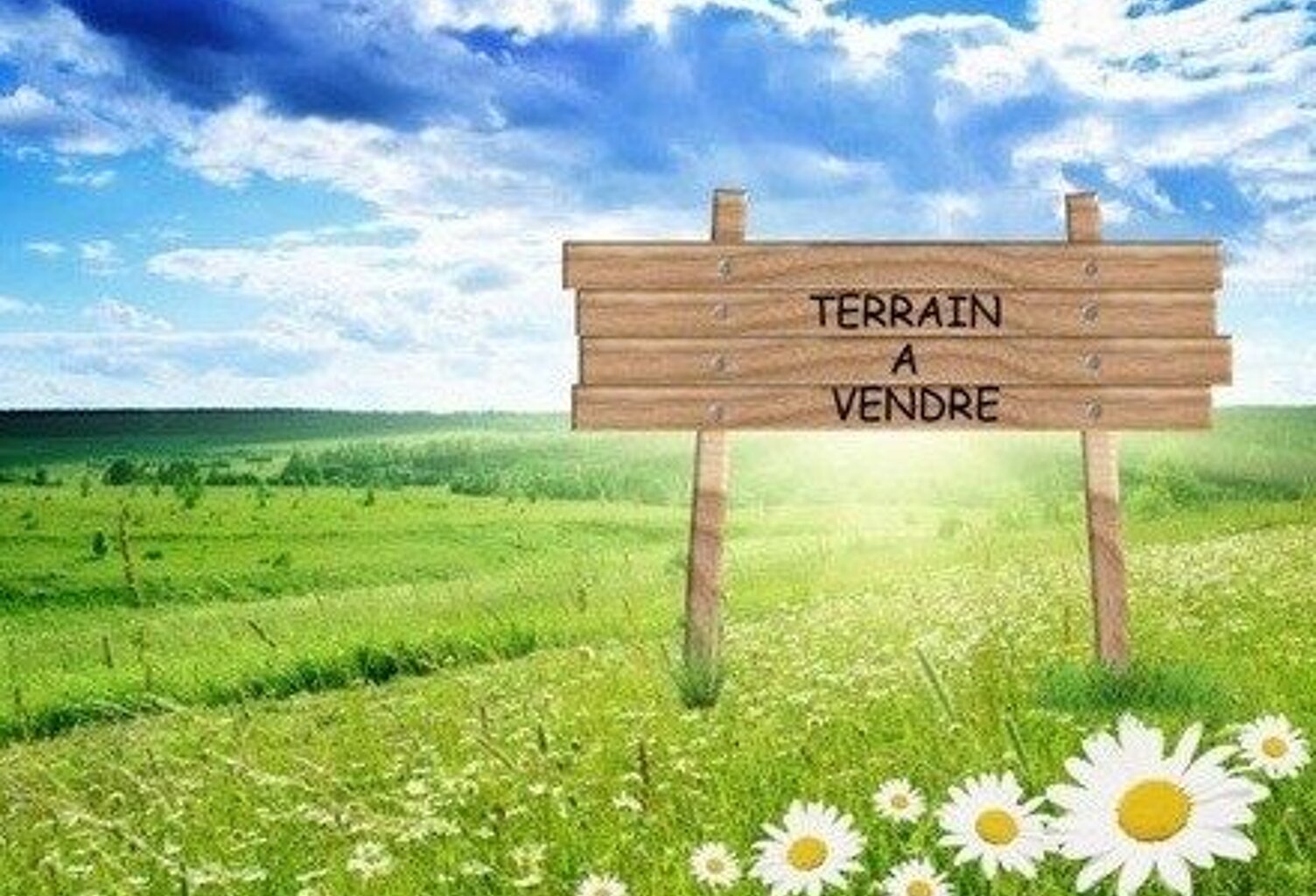 Terrain — photo 1