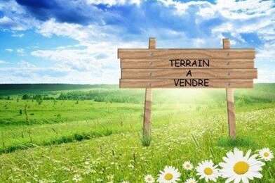 Terrain  63375 €