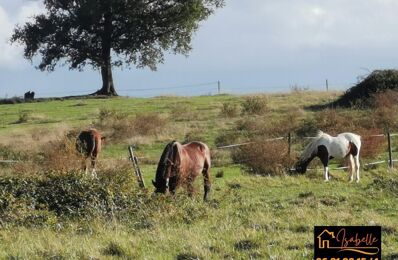 vente terrain 228 000 € à proximité de Sainte-Christie-d'Armagnac (32370)