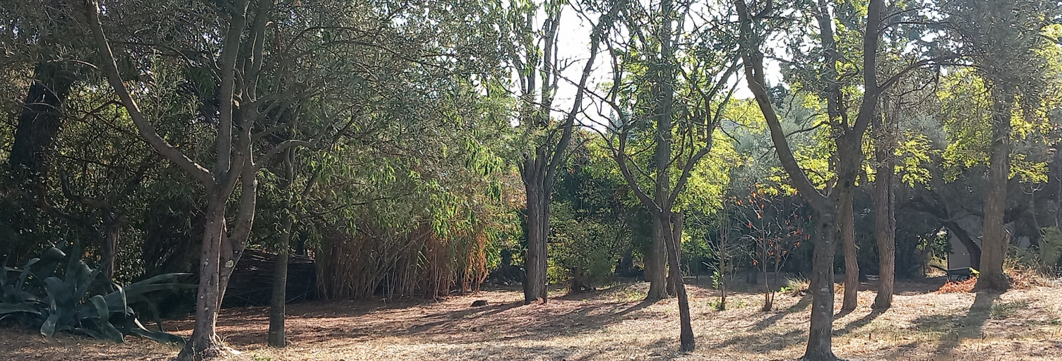 Terrain  1005 m² à vendre à Caumont-sur-Durance (84510)