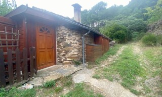 Photo N° 4