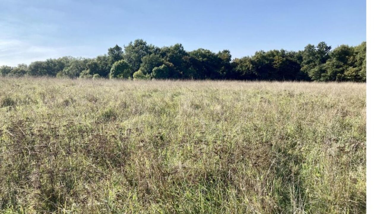 terrain  pièces 500 m2 à vendre à Ludon-Médoc (33290)