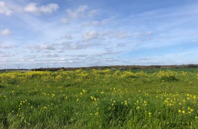 terrain  pièces 316 m2 à vendre à Bourgneuf (17220)