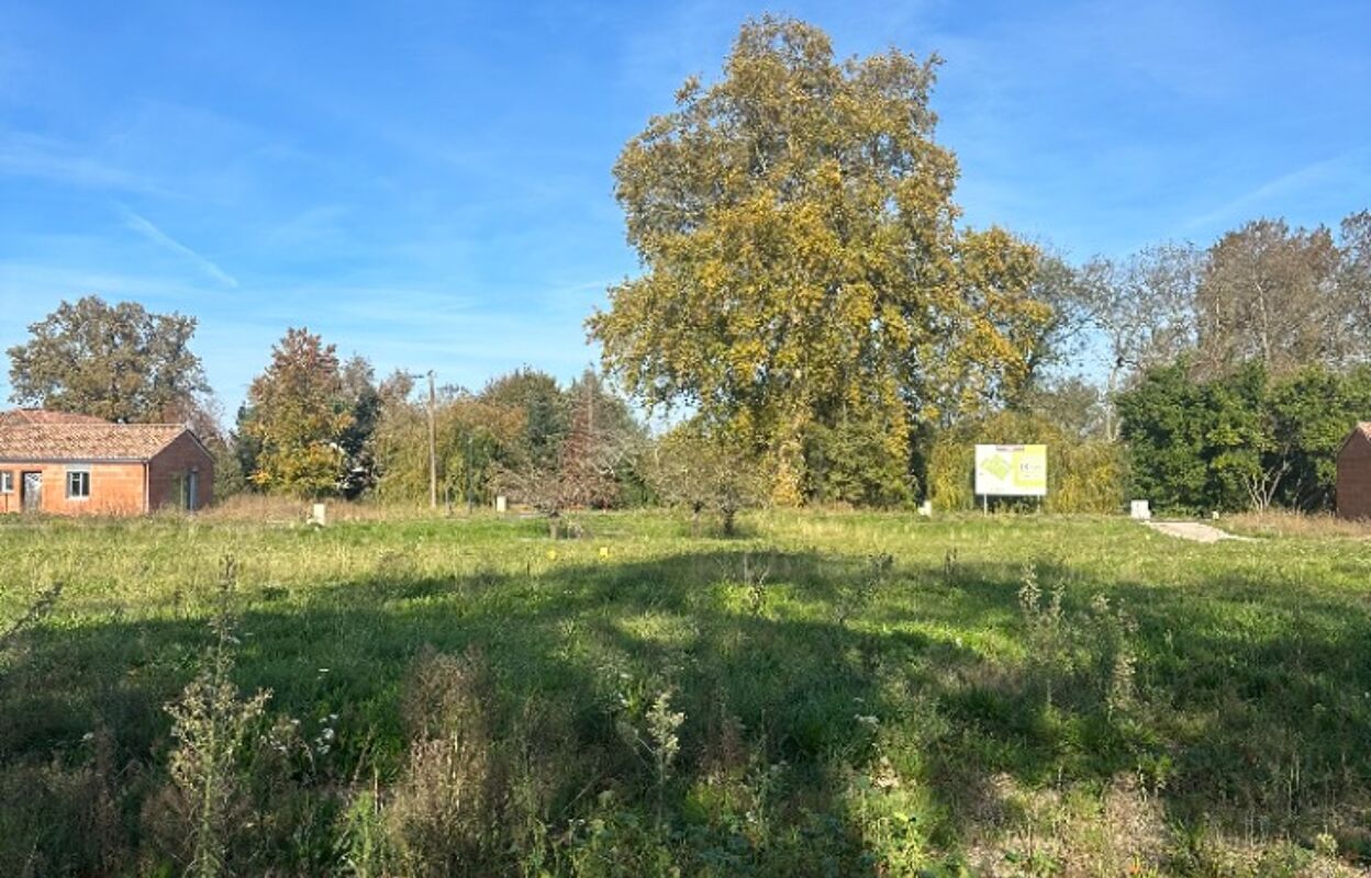 terrain  pièces 830 m2 à vendre à Blaye (33390)